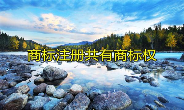 商标共有权 商标共有权
